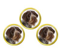 Golf Ball Markers Dorati Set 3 Pointer Tedesco a Pelo Ruvido German Wire-Haired