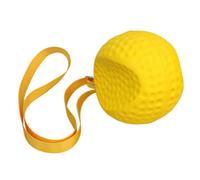 Golf Training Aid Ball, Swing Practice Corrector Between Arms, Ergonomic Arm Ball for Beginners, Foam Training Accessory with Adjustable Strap, Swing Alignment Tool for Women Youth Teens Players