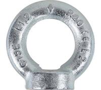 GOLFARE FEMMINA ZINCATO 8042EZ ROBUR DIN582 M10 O.MM 25 PZ 10