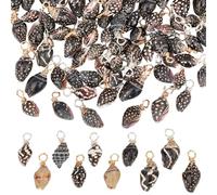 GOMAKERER 100pz Ciondoli di Conchiglia Naturale, Pendenti con Conchiglia Marrone Cocco Ciondoli con Conchiglia A Spirale A Tema Estivo per La Creazione di Gioielli con Bracciali e Collane