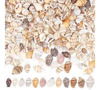 GOMAKERER 400pz Perline di Conchiglia Naturale, Perline A Spirale Conchiglia Foro 1mm Conchiglia Gingillo Acquario Ornamenti Spiaggia Estiva Piccole Conchiglie per Creazione di Gioielli Artigianato
