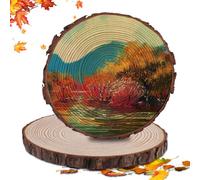 GOMETY - Set di 2 dischi di legno, rotondi, per fai da te, diametro 28-30 cm, disco di legno, sottobicchieri, in legno di pino per fai da te, senza foro, grandi piastrine di legno
