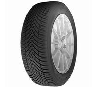Toyo CELSIUS AS2 M+S 3PMSF 185/60 R15 84 T