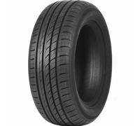 GOMMA ESTIVO DOUBLECOIN DC 99 225 55 R 16 95 V