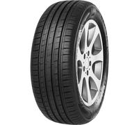 GOMMA ESTIVO MINERVA F 209 XL 195 55 R 16 91 V