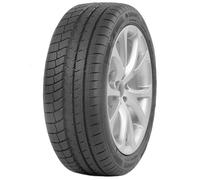 GOMMA INVERNALE DAVANTI WINTOURA PLUS XL 295 35 R 21 107 V