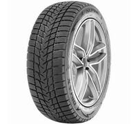 Radar Dimax Alpine 255/35R19 96V