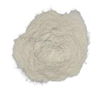 Gomma Mastice di Chios Mastiha Greco Grattugiato 25-460g Qualità Premium (25 grammi)