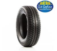 Gomma Pneumatico Tyfoon 4-Season 205/55 R17 95V XL M+S per Tutte le Stagioni