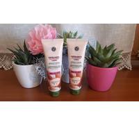 Gommage vegetale esfoliante corpo Yves Rocher NUOVA EDIZIONE
