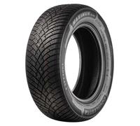 Double Star DLA01 ( 165/60 R14 75T )