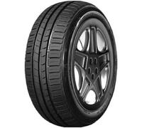 TRACMAX X PRIVILO TX-2 195/65 R15 91H