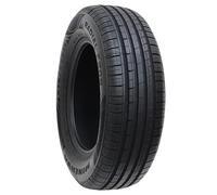 Minerva F 209 205/65R15 94H