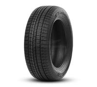 Gomme Doublecoin Dw 300 205 55 R16 94V TL Invernali per Auto