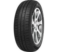 Minerva 209 (155/65 R13 73T)