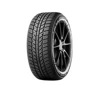 EVERGREEN 195/55 R15 EW62 85H WINTER EC71