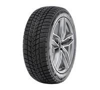 Gomme Invernali nuove 195/65 R15 91T Radar DIMAX ALPINE M+S