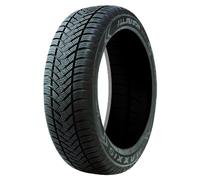 Maxxis AP2 All Season (205/60 R15 95H)