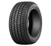 GOMME PNEUMATICI COOPER 225/70 R15 100T COBRA RADIAL G/T M+S RWLESTATE