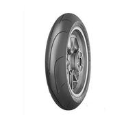 Dunlop D213 GP Pro ( 120/70 ZR17 TL (58W) ruota anteriore )