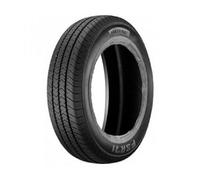 Fortune FSR 71 225/55R17 109/107H 10PR BSW