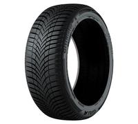 Giti Winter W2 225/50R17 98V XL BSW 3PMSF