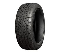 255/35 R19 96 H ROADX - RX FROST WU01 XL BSW M+S 3PMSF