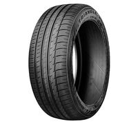 Triangle TH 201 295/30R19 100Y XL BSW