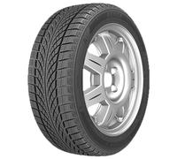 GOMME PNEUMATICI WINTERGEN 2 KR501