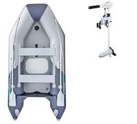 Gommone GLADIATOR LIGHT AK300AD light dark grey - gommone gonfiabile con pavimento in drop-stitch - set: con motore elettrico REMIGO 1 kW