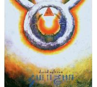 Gone to Earth by DAVID SYLVIAN (2007-04-24)