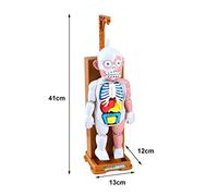 Gonetre Giocattolo Modello Scheletro con Gioco Desktop Genitore-figlio | Plastica ABS, Oggetti di Scena Horror, 31x23x13 Cm, Set da Gioco da 16 Carte, Effetti Sonori di Panico Attivati, Richiede 3