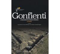 Gonfienti. L'insediamento etrusco e romano. Lo scavo. Ediz. a colori - [Edifir]