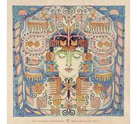 Gongs Played By Voice by Chemistry Experiment (2013-08-03)