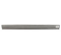 Gonna Einsteigblech Posteriore Destra Adatta: Hyundai H-1/Starex/H200 06.9