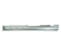 Gonna Einsteigblech SX Adatta: Hyundai Accent IV / i25 / Solaris 11.10