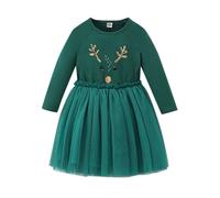 Gonne lunghe ragazze bambino bambini ragazze natale maniche lunghe stampa principessa compleanno abiti da festa vestiti invernali ragazza calda, verde, 2-3 Anni