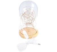 goobay 60340 Campana in vetro con micro catena luminosa LED/lampada decorativa/luce calda e rilassante/illuminazione festiva per la decorazione di interni/legno vero/con interruttore