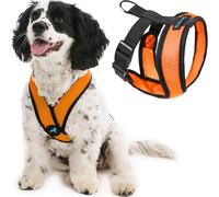 Gooby Comfort X Pettorina arancione, M, per cani di taglia piccola e media, anti-tiro, struttura brevettata anti-soffocamento X Frame, perfetta in viaggio, per uso interno ed esterno