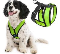 GOOBY Comfort X Pettorina Verde, XL, per Cani di Taglia Piccola e Media, Anti-tiro, Struttura brevettata Anti-soffocamento X Frame, Perfetta per Viaggi, per Uso Interno ed Esterno