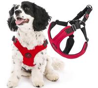 Gooby Escape Free Sport - Pettorina sportiva antifuga, in neoprene con regolazione a quattro punti, anti soffocamento, L, red