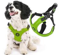 Gooby Escape Free Sport - Pettorina sportiva antifuga, in neoprene con regolazione a quattro punti, da viaggio per cani di taglia piccola e media, S, lime