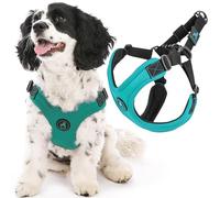 Gooby Escape Free Sport - Pettorina sportiva antifuga, in neoprene con regolazione a quattro punti, da viaggio per cani di taglia piccola e media, L, turchese