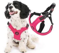 Gooby Imbracatura sportiva senza fuga - Rosa, Large - No Choke Step-in in neoprene brevettato per cani di piccola taglia con regolazione a quattro punti, perfetta per cani di taglia media e cani di piccola taglia