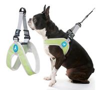 GOOBY - Simple Step-in Harness III, Pettorina per cani di piccola taglia resistente ai graffi in rete traspirante, verde, grande