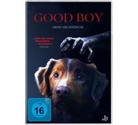 Good Boy - Trust his instincts