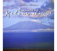 Medwyn Goodall – Snows Of Kilimanjaro