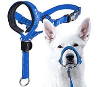 GoodBoy Capezza testa di cane Blu Nylon (Blu, 3)
