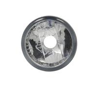 Goodpart TYC 19-0961-01-2 - Fendinebbia