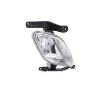 Goodpart TYC 19-11029-01-2 - Fendinebbia
